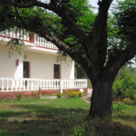 Corfu Country House Vitaládes Habitación foto