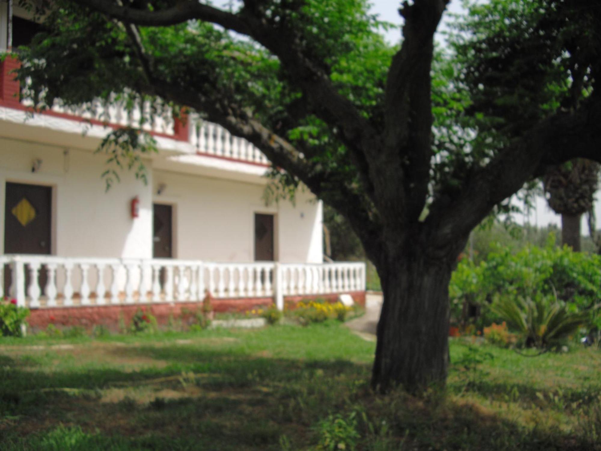 Corfu Country House Vitaládes Habitación foto